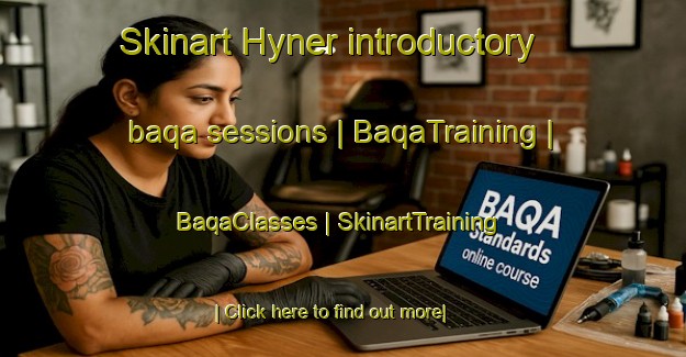 Skinart Hyner introductory baqa sessions | BaqaTraining | BaqaClasses | SkinartTraining-United States
